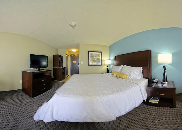 Hotel Hilton Garden Midtown