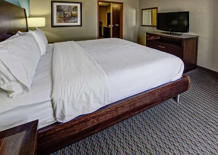 Hotel Hilton Garden Midtown 3*