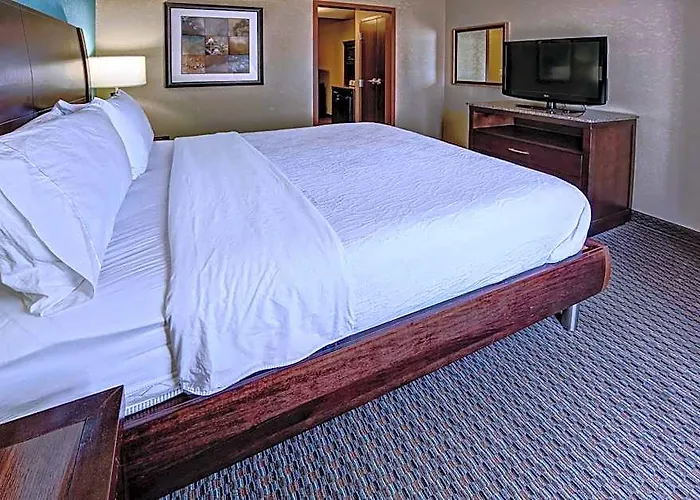 Hotel Hilton Garden Midtown 3*